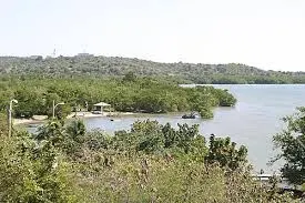 El Colcho Hogar Moises Manati