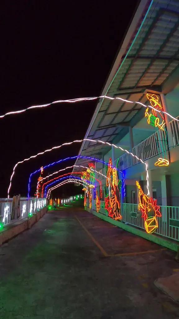 Hotel Vista Verde Navidad