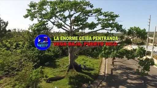 La Ceiba