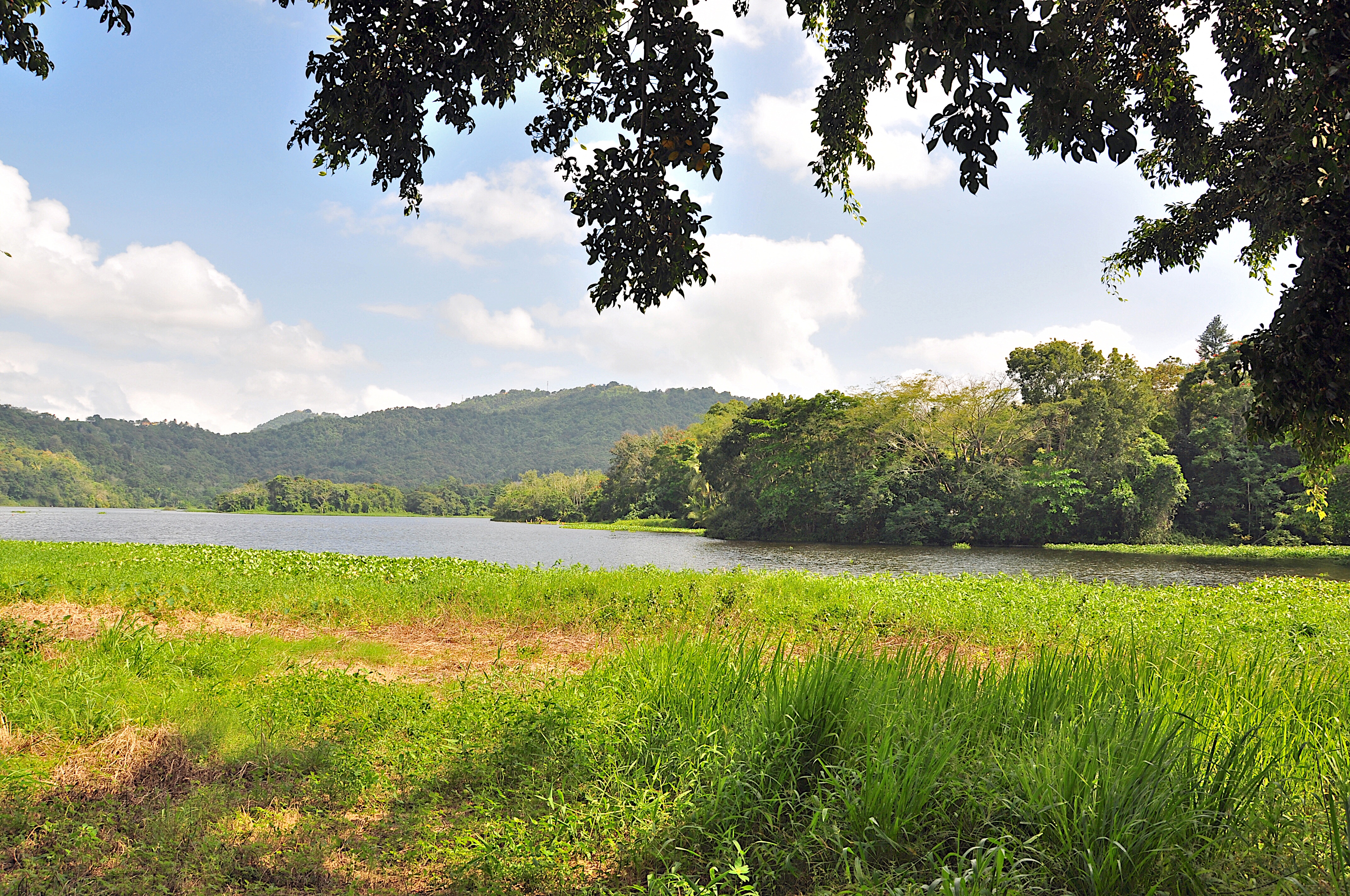 Lago Loíza