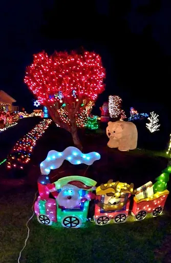 Navidad Bosque Magico Las Piedras