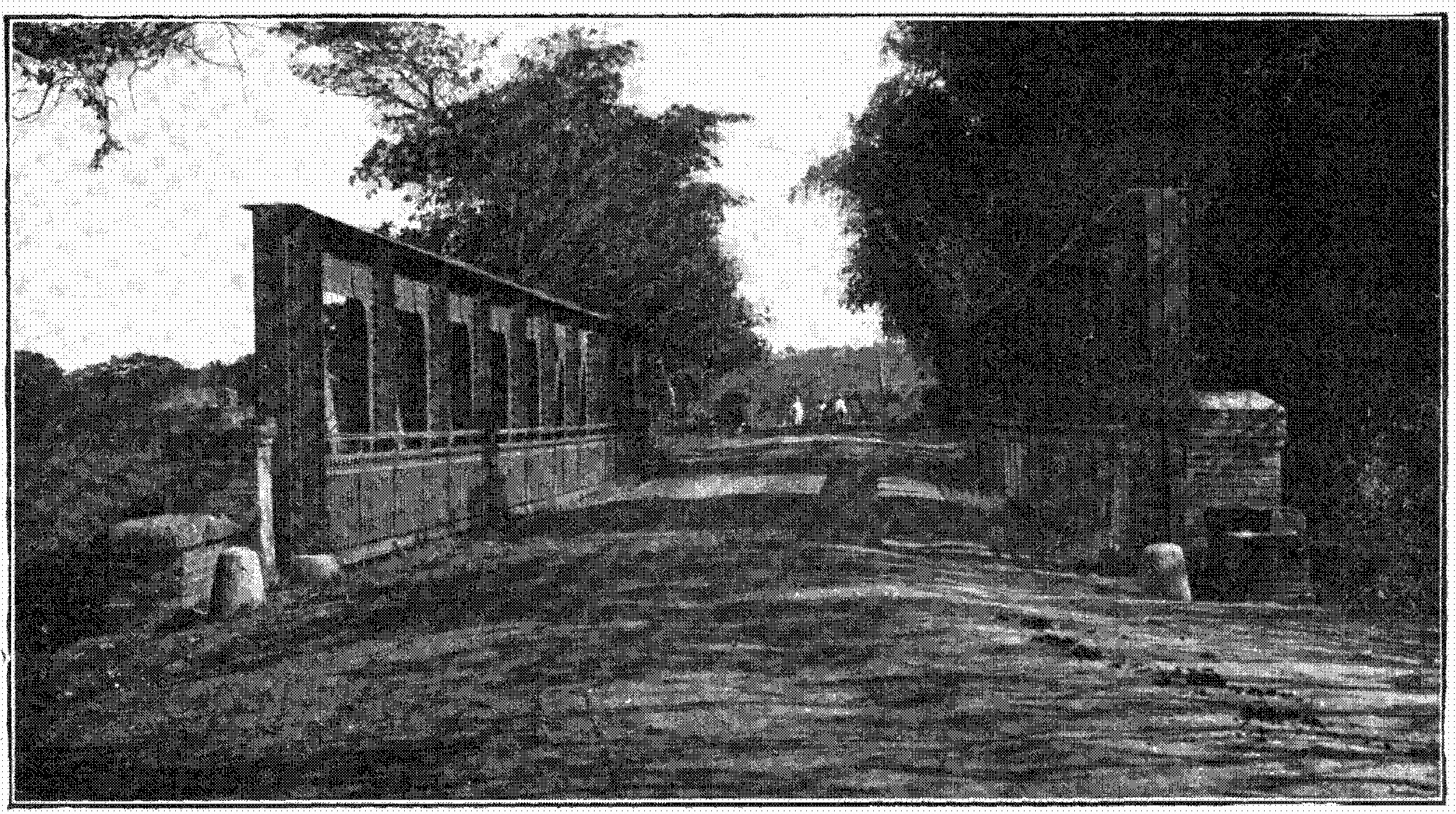Torréns Bridge