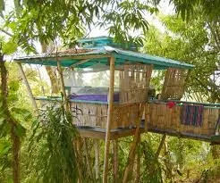 Tropical Treehouse