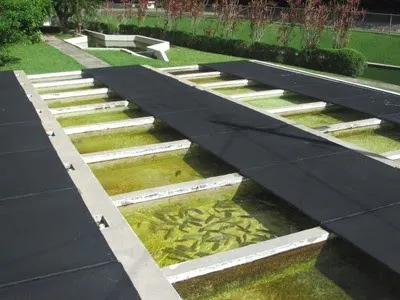 Vivero de Peces de Maricao