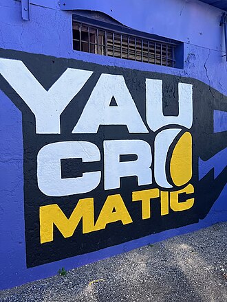 Yaucromatic ComunidadPintada