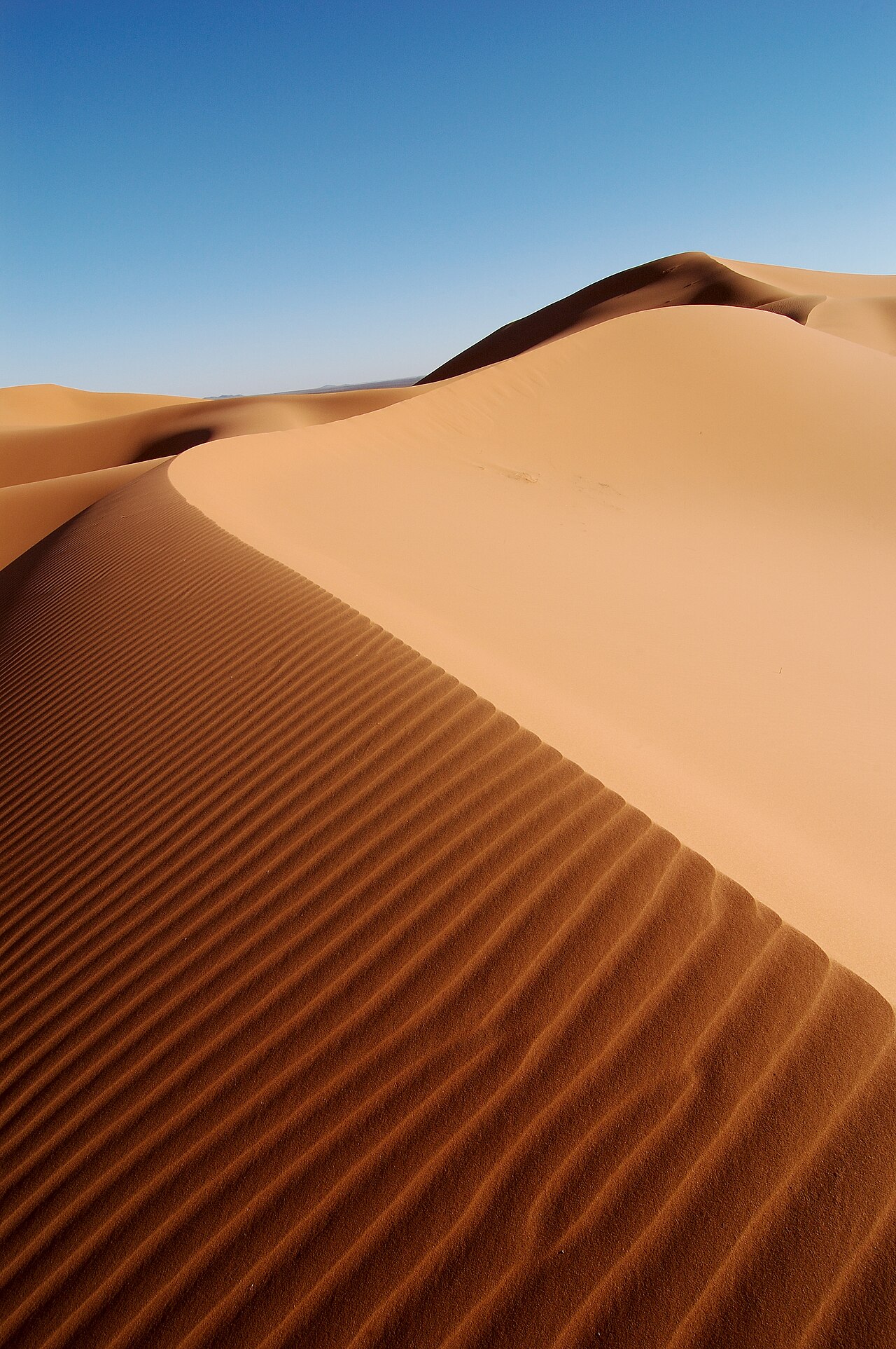 Dunas