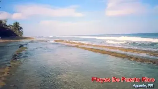 Playa Las Positas