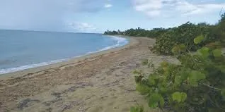 Pozuelo Exclusive Beach