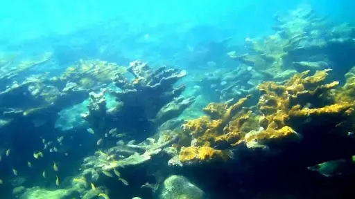 Snorkeling - Blue Beach