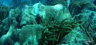 Snorkeling - Flamenco