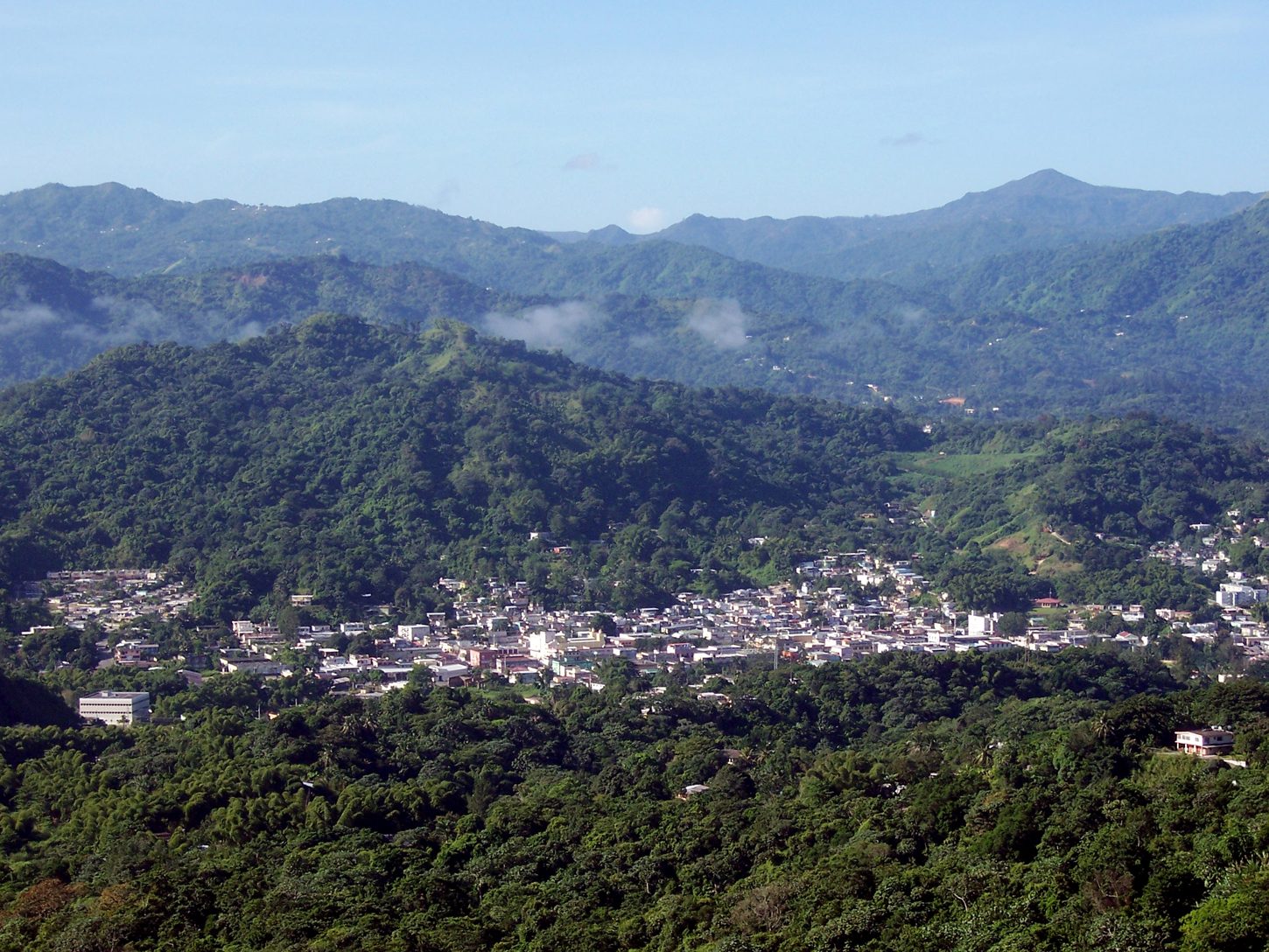 Puente Colgante Hamaca Utuado