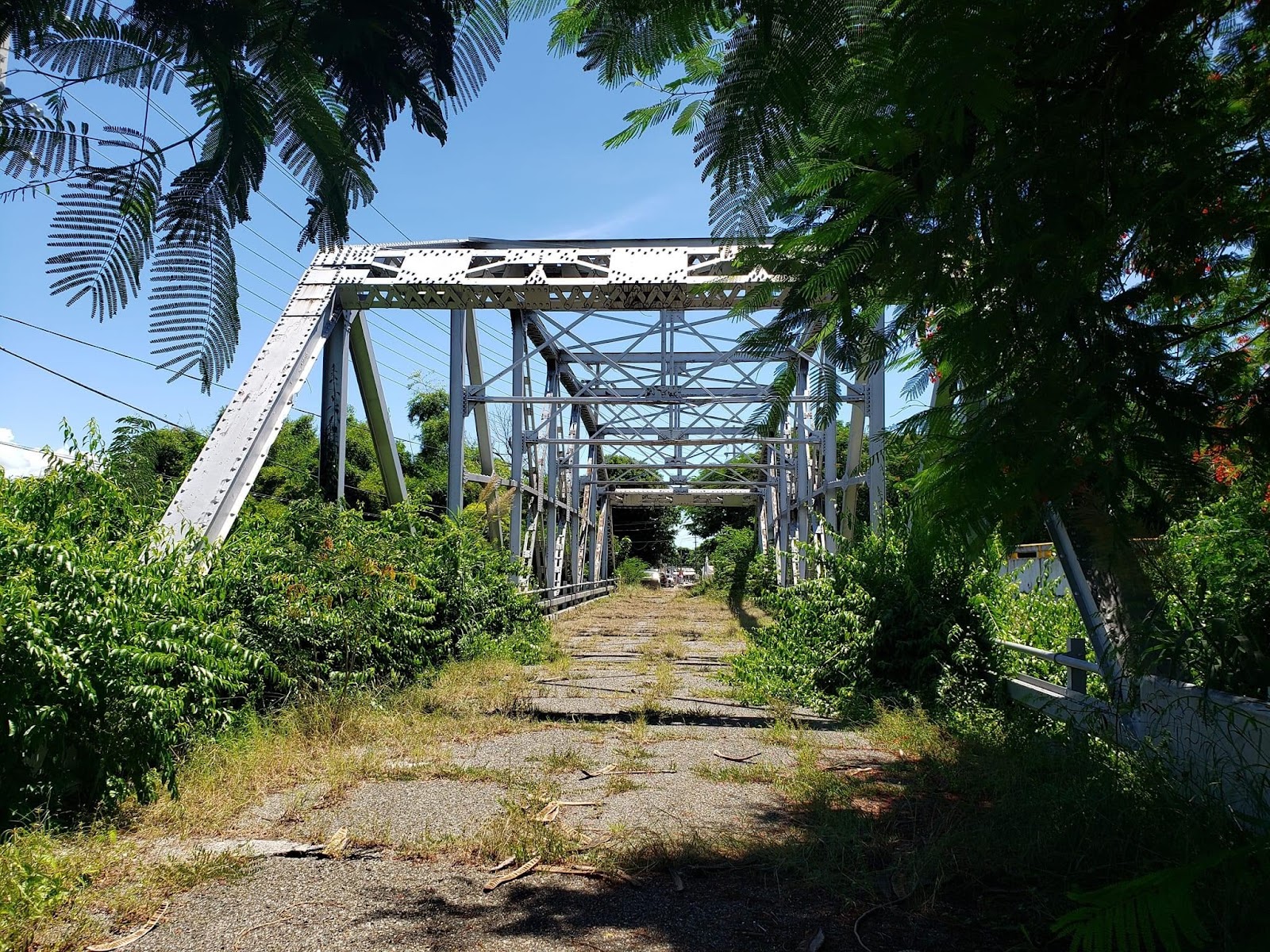 Puente Num. 24 - Juan Ponce de Leon Aruz (1938)