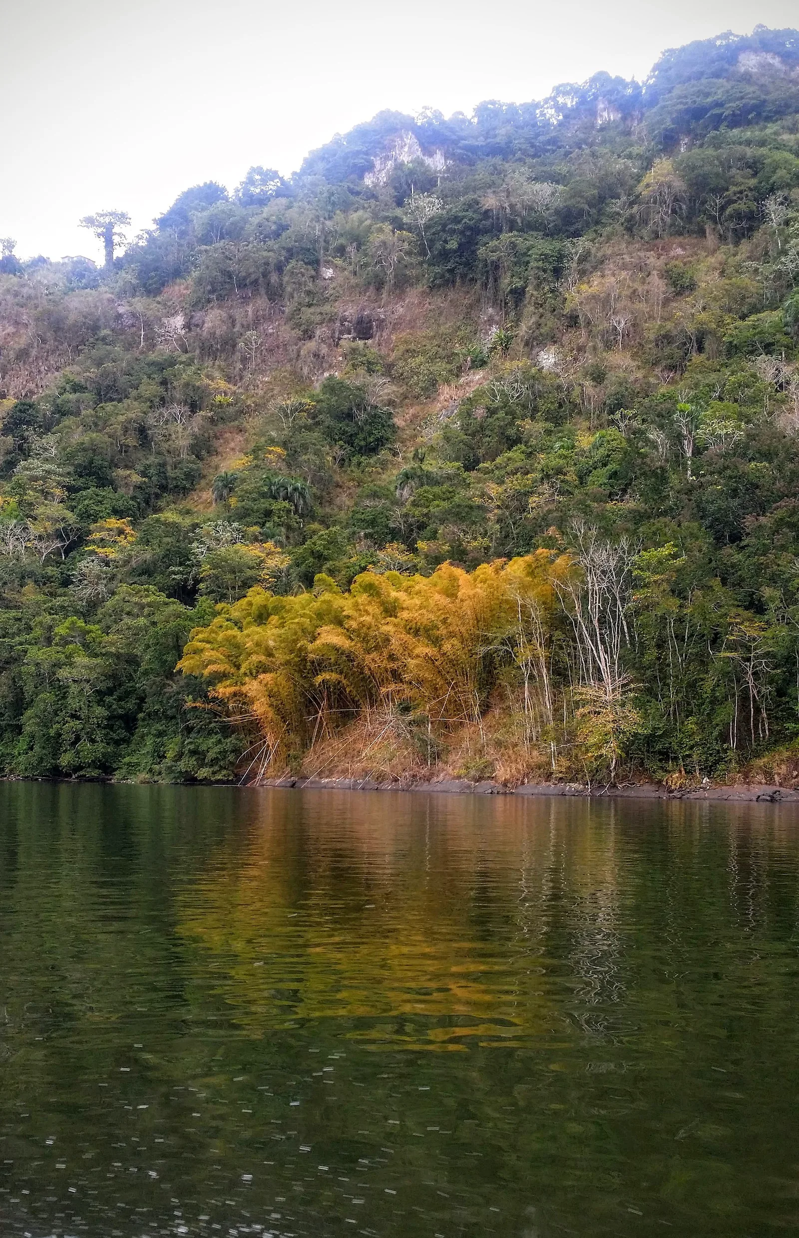 Represa Dos Bocas